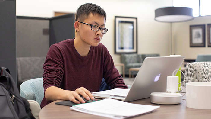 Student using laptop at desk. 