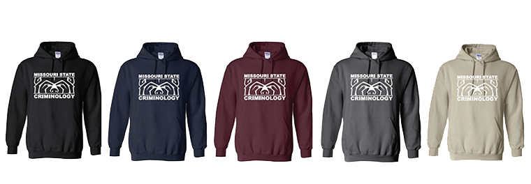 Lineup of various colors of hoodie sweatshirts